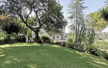 Property slide 12