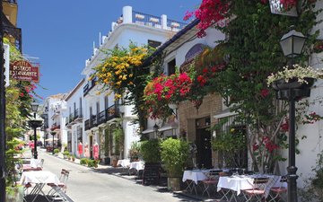 Property slide 43