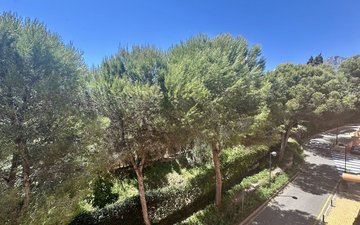Property slide 22