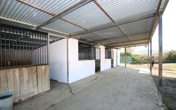 Property slide 51