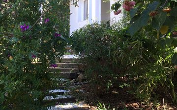 Property slide 26