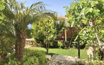 Property slide 36
