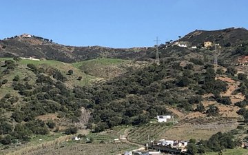 Property slide 15