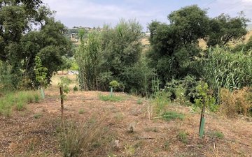 Property slide 19