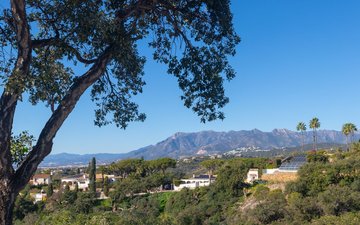 Property slide 41