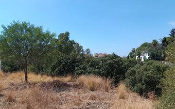 Property slide 9
