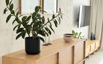 Property slide 24