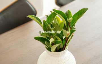 Property slide 35