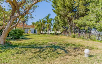 Property slide 25
