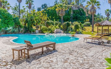 Property slide 31