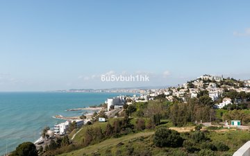 Property slide 31