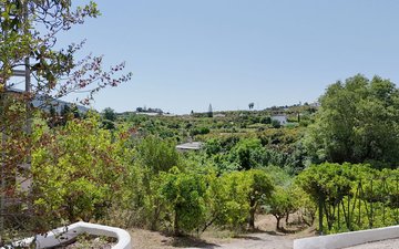 Property slide 42