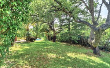 Property slide 29