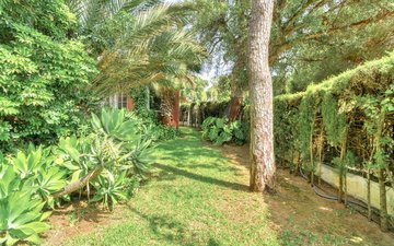 Property slide 36