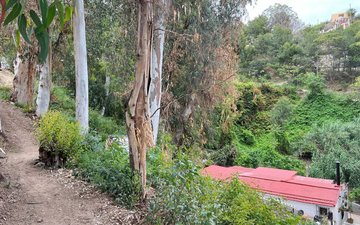 Property slide 2