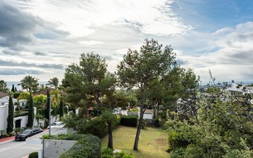 Property slide 38