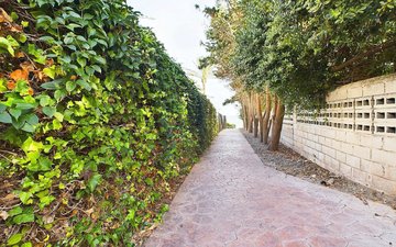 Property slide 10