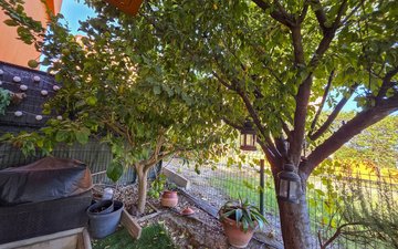 Property slide 23