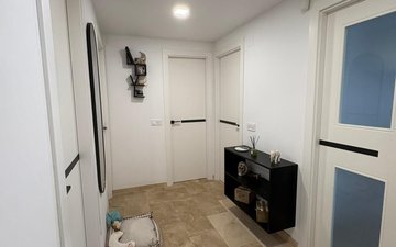 Property slide 31