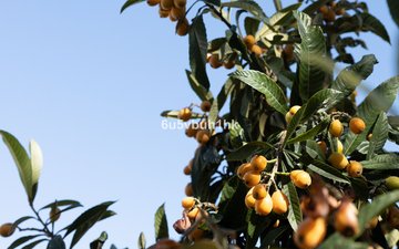 Property slide 40