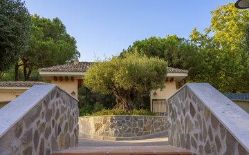 Property slide 39