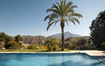 Property slide 17