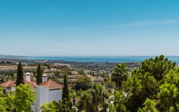 Property slide 42