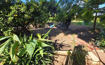Property slide 38