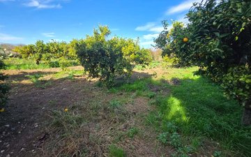 Property slide 39