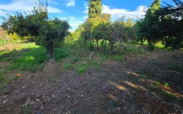 Property slide 41