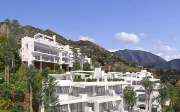 Property slide 11