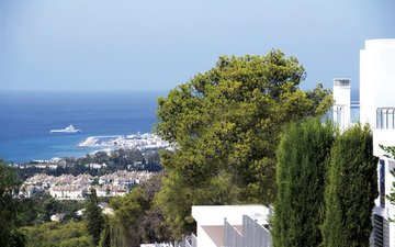 Property slide 19