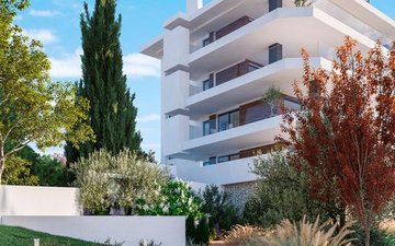 Property slide 11