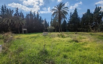 Property slide 1
