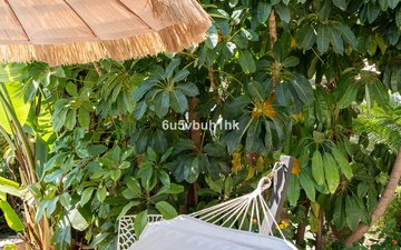 Property slide 26