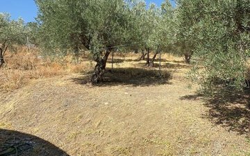 Property slide 10