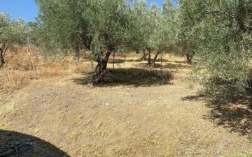 Property slide 6