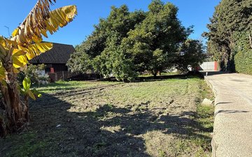 Property slide 25