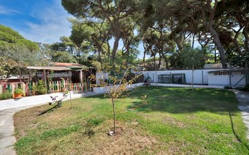 Property slide 29