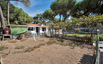 Property slide 30