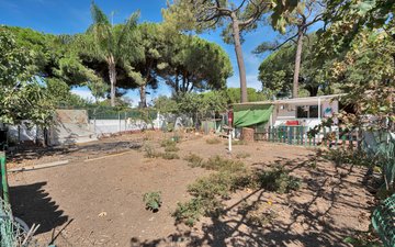 Property slide 31