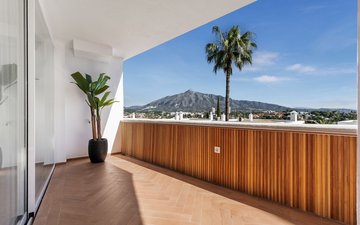 Property slide 31
