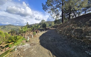 Property slide 38