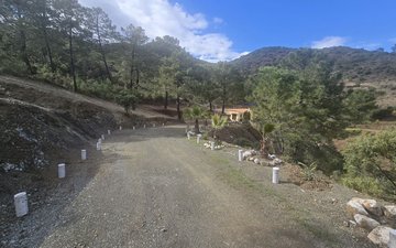 Property slide 8