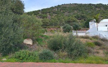 Property slide 4