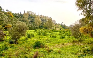 Diapositive de propriété 1