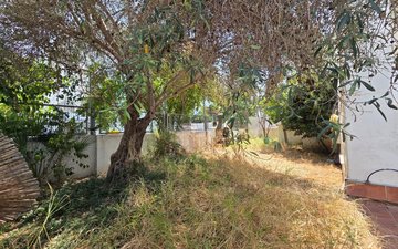 Eigenschaftsfolie 37