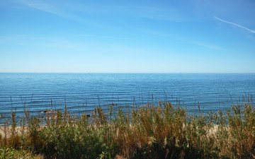 Diapositive de propriété 37