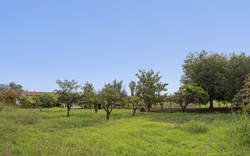 Property slide 8