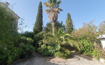 Property slide 31